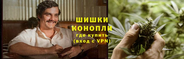 шишки Абаза
