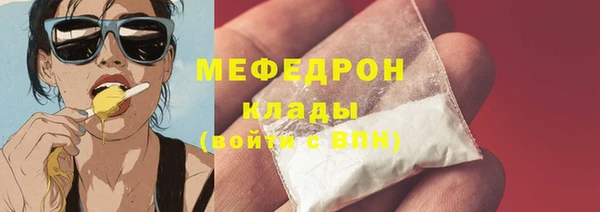 шишки Абаза