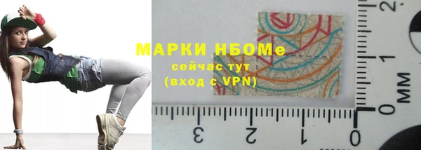 шишки Абаза