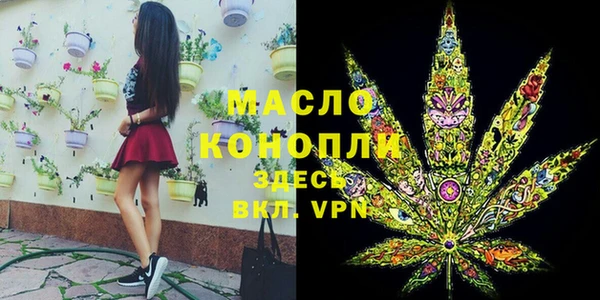 шишки Абаза