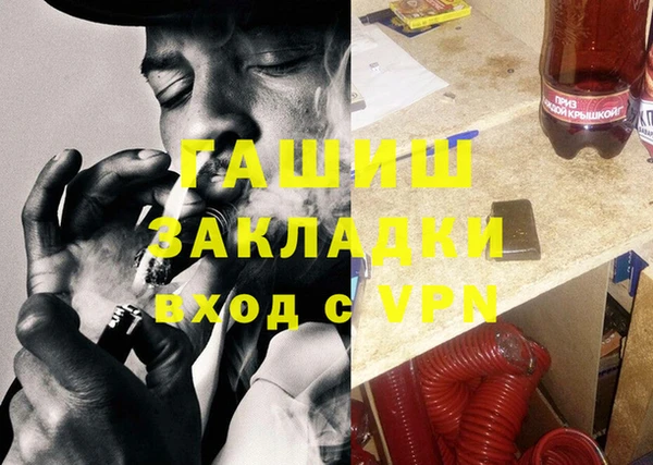 шишки Абаза