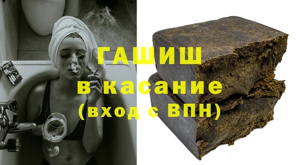 шишки Абаза