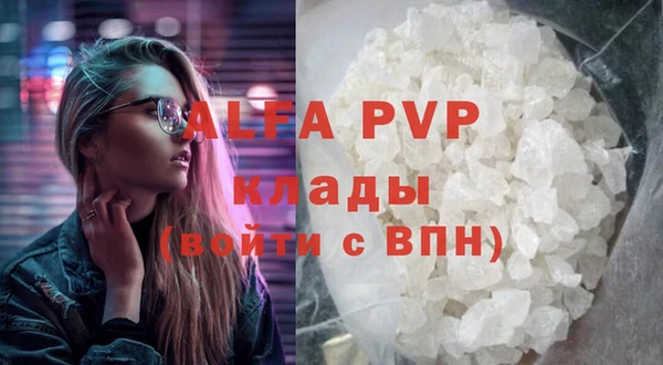 шишки Абаза