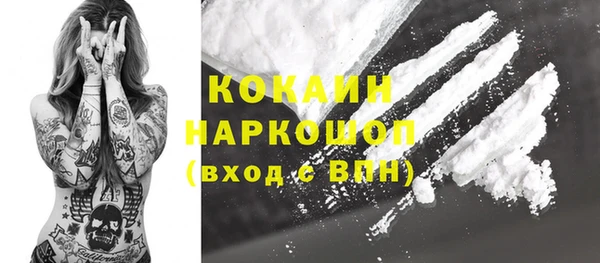 шишки Абаза