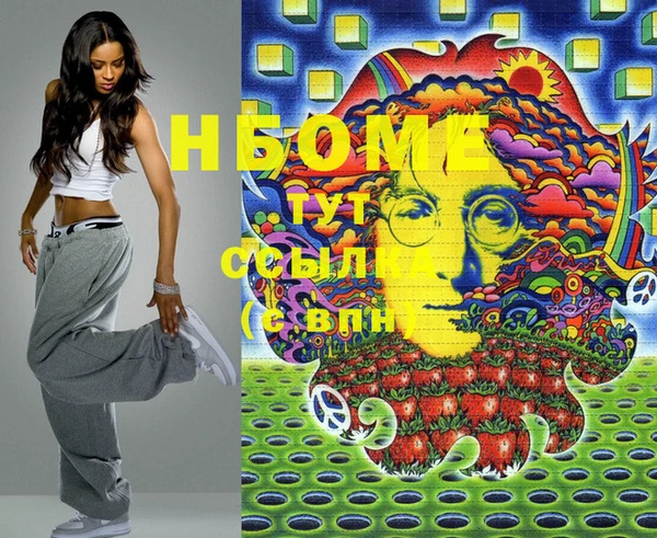шишки Абаза